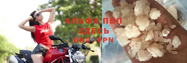 стафф Алексин