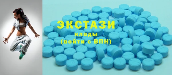 хмурый Пересвет