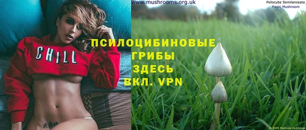 марки nbome Алзамай